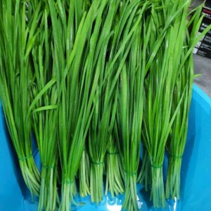 กุยช่ายไต้หวัน(100กรัม)